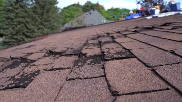 Best Gutter Installation and Repair  in Brackenridge, PA